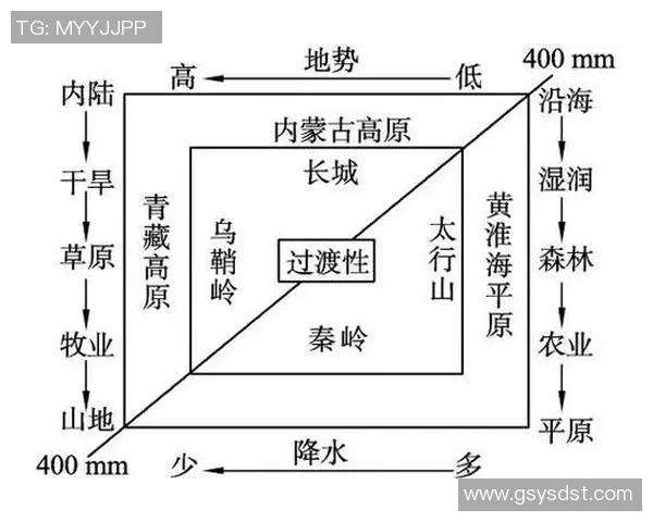 北京乒乓球队的实力分析与未来发展潜力的深度探讨 北京乒乓球队的实力分析与未来发展潜力的深度探讨